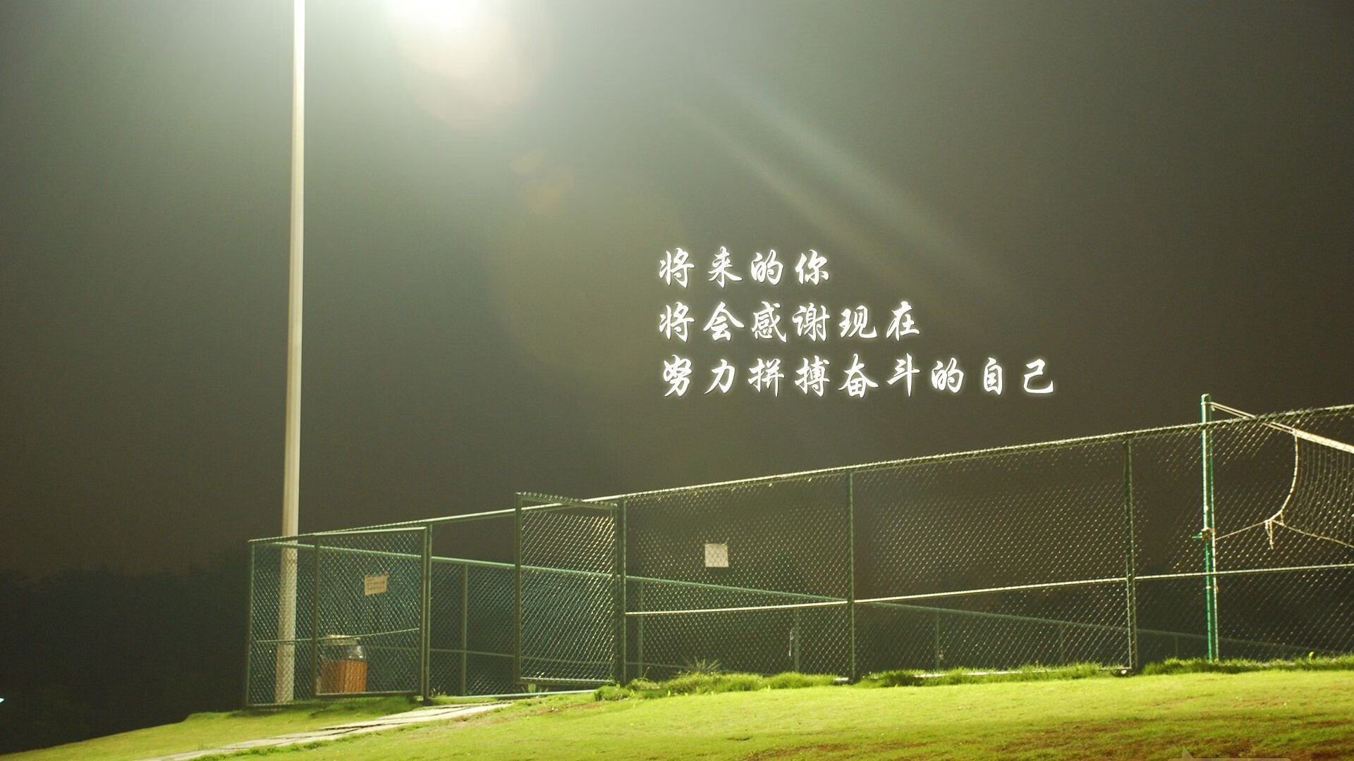 德甲大力发展女子足球，推动足球普及，德甲女友