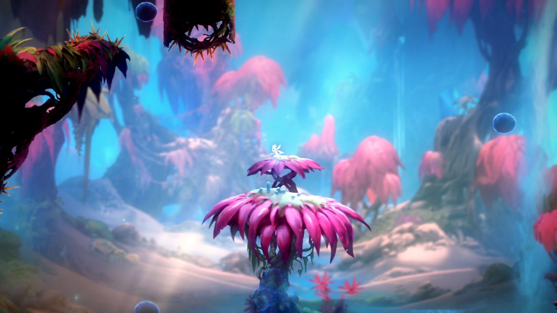 kaiyun体育综合-英格兰骑手安娜·史密斯在巴黎奥运会障碍赛中获得铜牌，表现出色。