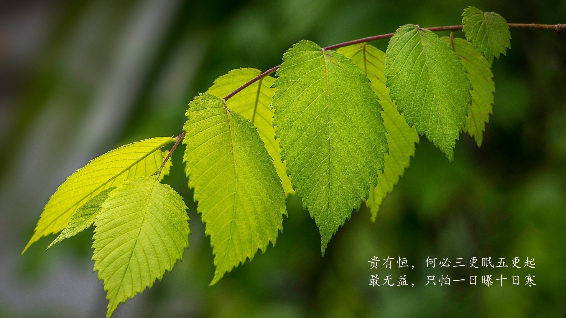 EDG赛区粉丝支持力度加大，edg是哪个赛区