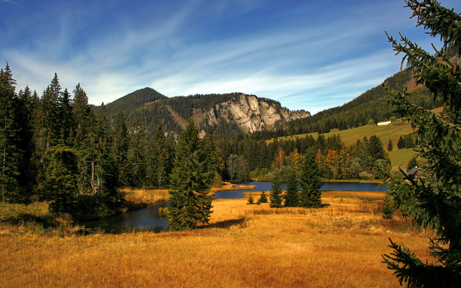 开云平台-FaZe出席英雄联盟电竞高峰论坛，faze战队成员介绍