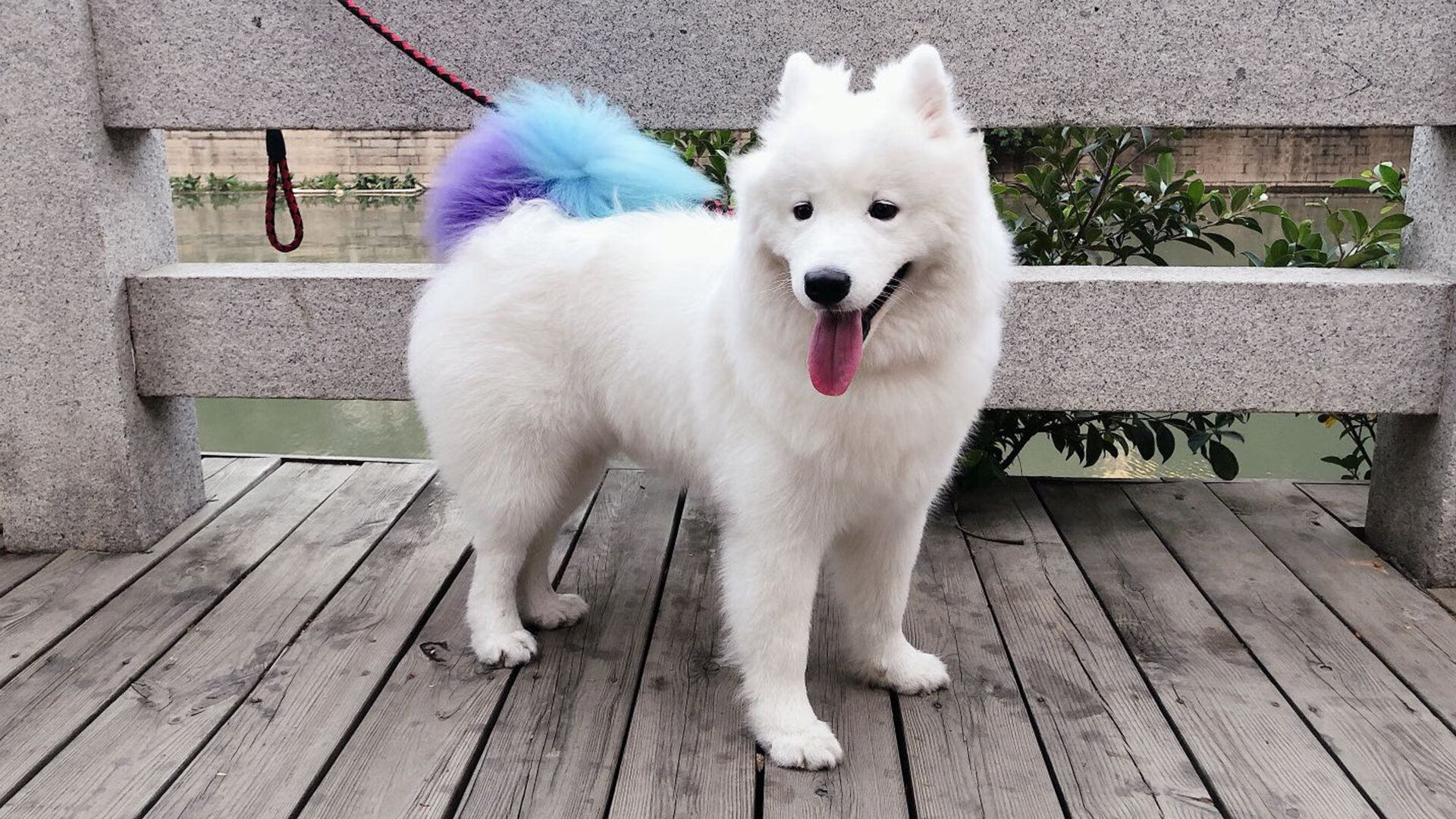 IG战队发布2025赛季训练数据公开报告,ig新赛季