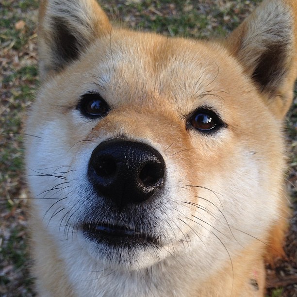 中场厚度是否决定球队逆转能力，中场球员是什么位置