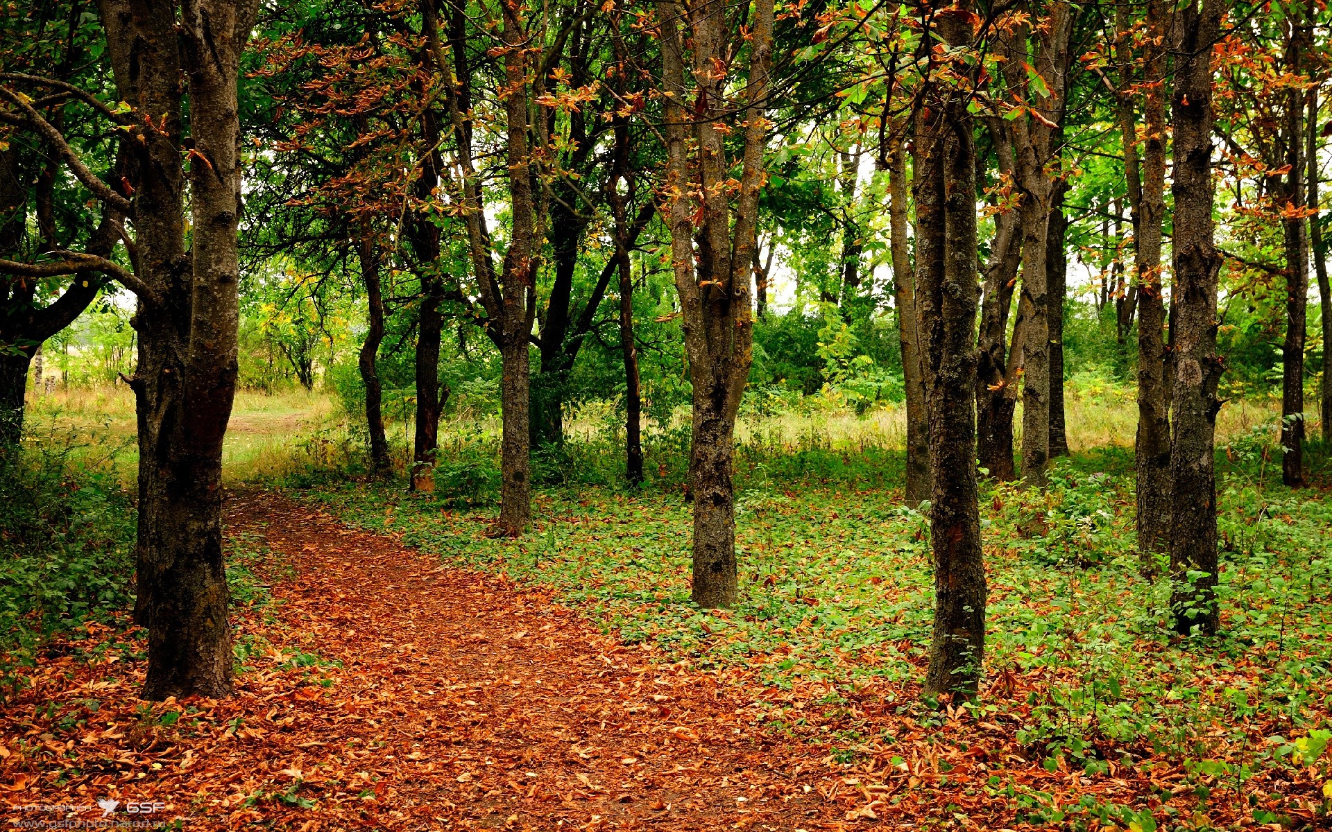 篮球运动员训练计划科学制定与实施效果研究,篮球训练计划的制定