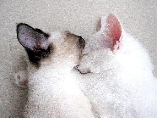 “彭尤蝶泳自由泳再突破,未来可期”