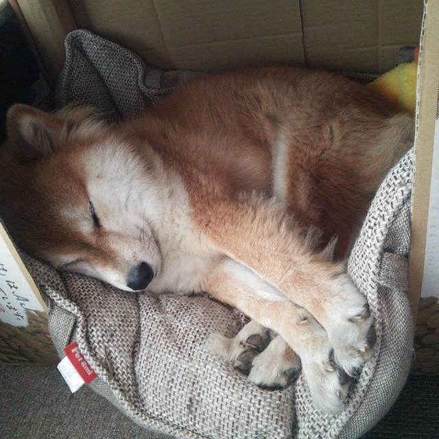 外教管理权限模糊影响整体协作，管理外教的工作