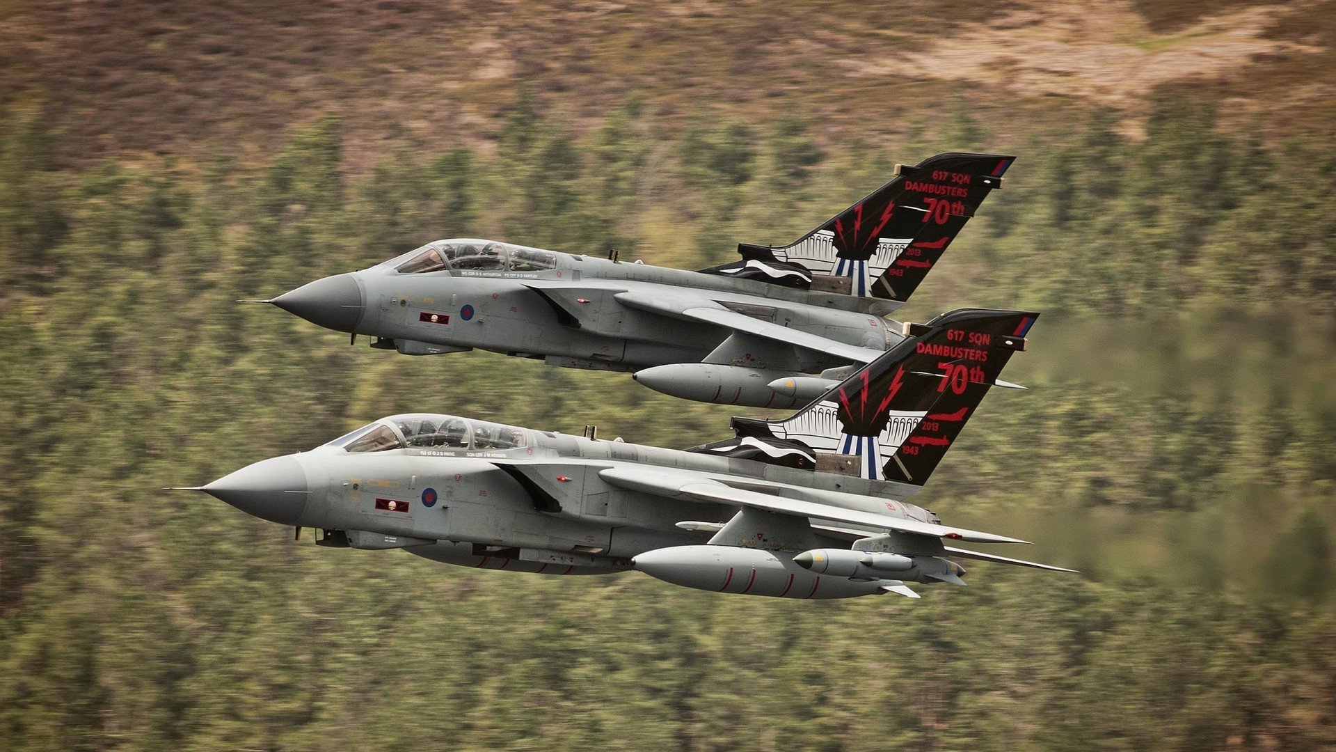 德国队2024年表现:技术与团队默契完美结合,德国队2022