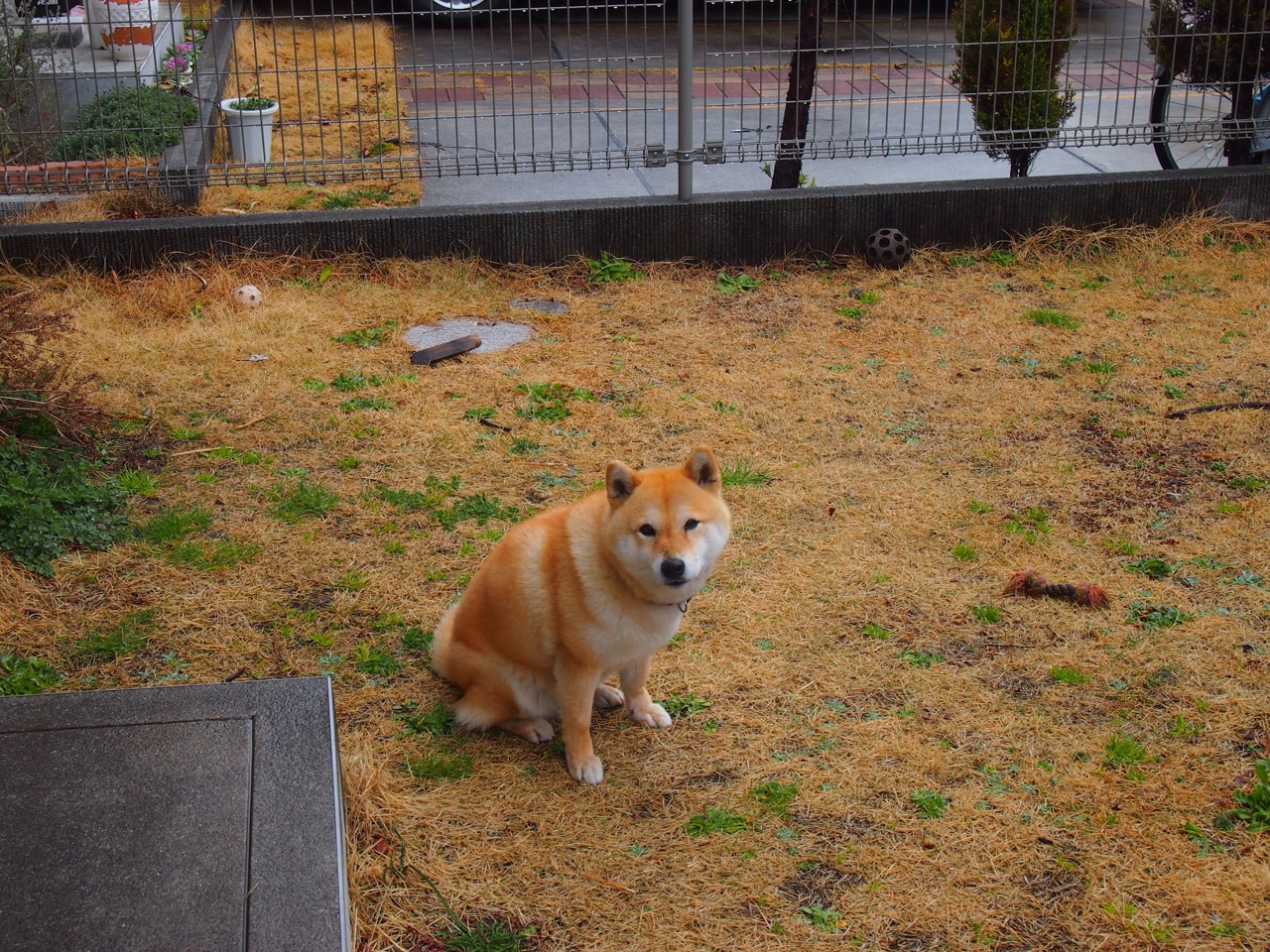 球员精神状态积极,迎难而上展现冠军气质,球队精神达到90