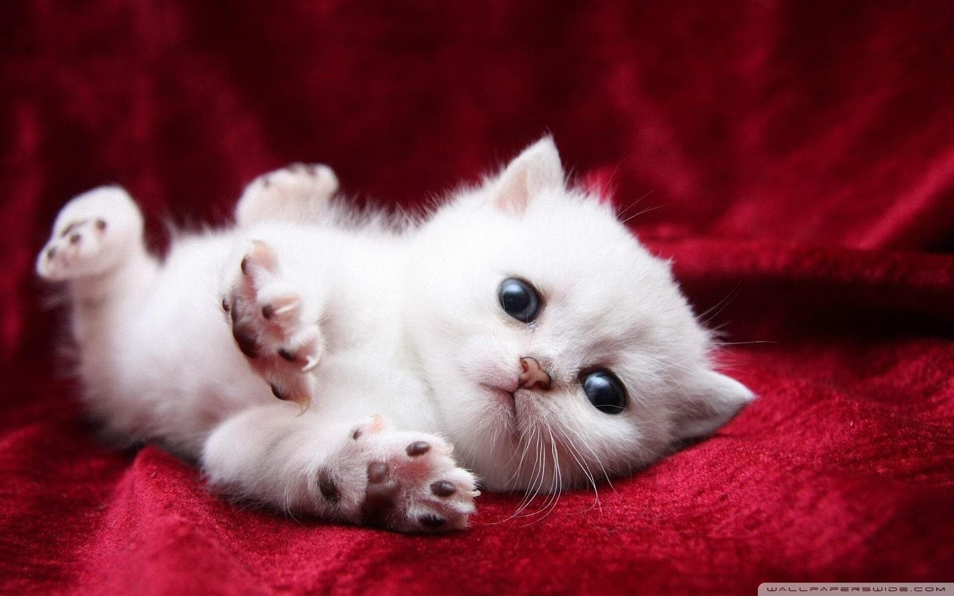 kaiyun中国官方网站-赛事数据揭秘：速度与节奏的较量，节奏中的速度与力度