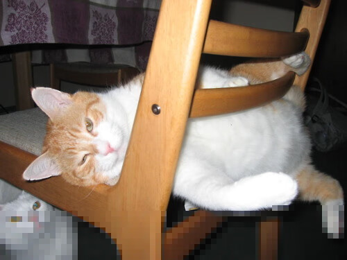 kaiyun开云·官方网站-中国足球青训体系人才输送链条不断完善，中国足球青训发展