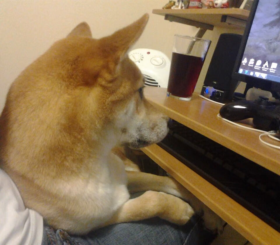 开云官方网页登录-球员伤病潮来袭，俱乐部应对压力大，球员伤病有工资吗