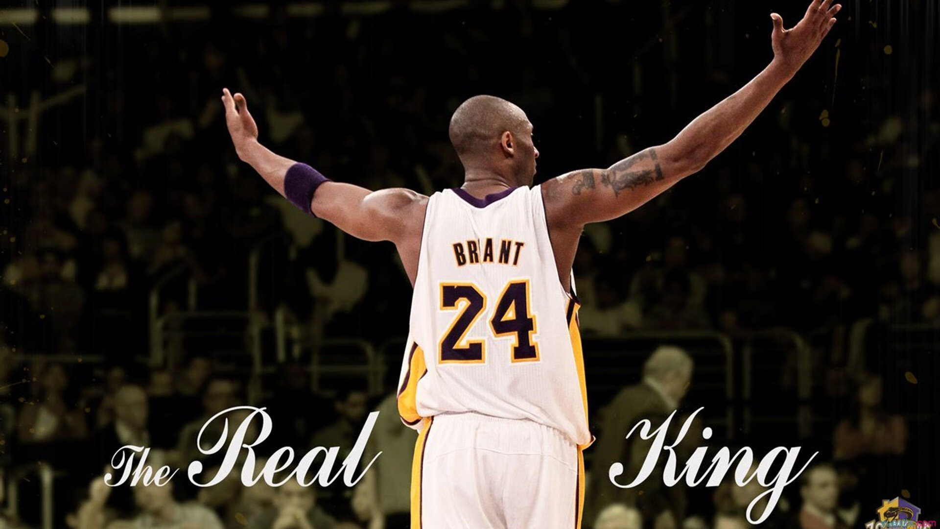 _森林狼战斗精神十足，稳扎稳打_，森林狼kg